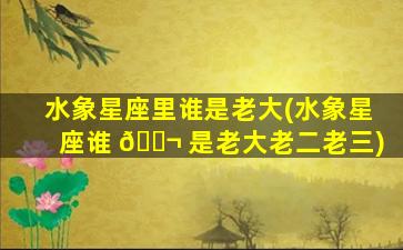 水象星座里谁是老大(水象星座谁 🐬 是老大老二老三)